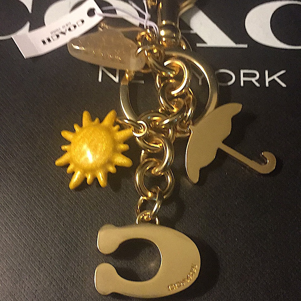 COACH - RAINBOW MIXED CHARMS BAG CHARM / KEYCHAIN - Picture 6 of 11